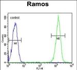 CMTM7 Antibody in Flow Cytometry (Flow)