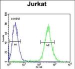 GLRX5 Antibody in Flow Cytometry (Flow)