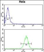 KIAA1529 Antibody in Flow Cytometry (Flow)