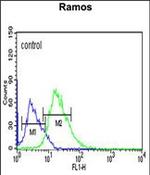 C12orf53 Antibody in Flow Cytometry (Flow)