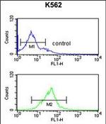 eIF3g Antibody in Flow Cytometry (Flow)