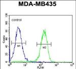 PYHIN1 Antibody in Flow Cytometry (Flow)