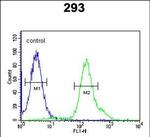 ARMC5 Antibody in Flow Cytometry (Flow)