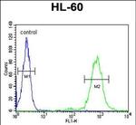 CD69 Antibody in Flow Cytometry (Flow)