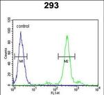 PGD Antibody in Flow Cytometry (Flow)