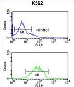 HHAT Antibody in Flow Cytometry (Flow)