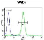 MEIS2 Antibody in Flow Cytometry (Flow)