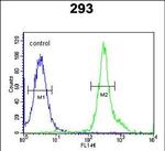 TSPAN3 Antibody in Flow Cytometry (Flow)