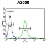 GOLT1A Antibody in Flow Cytometry (Flow)