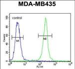 TRHDE Antibody in Flow Cytometry (Flow)