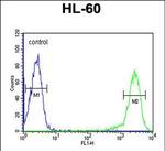 Calcitonin Receptor Antibody in Flow Cytometry (Flow)