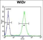 FBXO34 Antibody in Flow Cytometry (Flow)