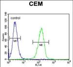 FAM105B Antibody in Flow Cytometry (Flow)