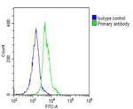 VLDLR Antibody in Flow Cytometry (Flow)