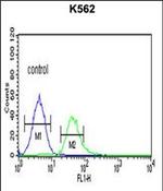 TCF4 Antibody in Flow Cytometry (Flow)
