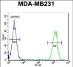 KIR2DL2 Antibody in Flow Cytometry (Flow)