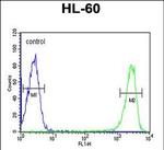KIR2DS3 Antibody in Flow Cytometry (Flow)