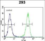 Aquaporin 11 Antibody in Flow Cytometry (Flow)