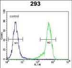 C4orf31 Antibody in Flow Cytometry (Flow)