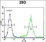FAM26E Antibody in Flow Cytometry (Flow)