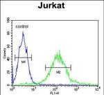 GPRASP1 Antibody in Flow Cytometry (Flow)