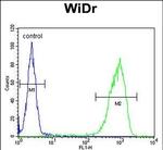 TANK Antibody in Flow Cytometry (Flow)