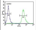 ZNF20 Antibody in Flow Cytometry (Flow)