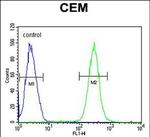 Brevican Antibody in Flow Cytometry (Flow)