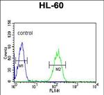 Carbonic Anhydrase VB Antibody in Flow Cytometry (Flow)