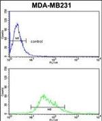 CYP21A2 Antibody in Flow Cytometry (Flow)