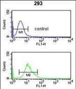 CYP3A43 Antibody in Flow Cytometry (Flow)