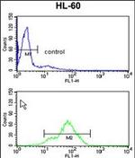 TSPAN1 Antibody in Flow Cytometry (Flow)