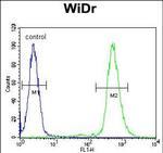 S6 Antibody in Flow Cytometry (Flow)