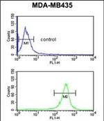 EXTL3 Antibody in Flow Cytometry (Flow)