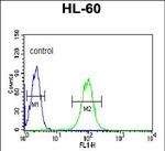 BPI Antibody in Flow Cytometry (Flow)