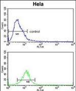 Cdc2L6 Antibody in Flow Cytometry (Flow)