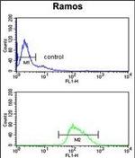 BOB-1 Antibody in Flow Cytometry (Flow)