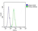 COL17A1 Antibody in Flow Cytometry (Flow)