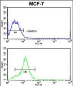 HMGA1 Antibody in Flow Cytometry (Flow)