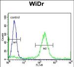 ADAMDEC1 Antibody in Flow Cytometry (Flow)
