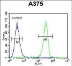 HOXA9 Antibody in Flow Cytometry (Flow)
