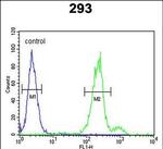 CLRN3 Antibody in Flow Cytometry (Flow)