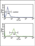 OPRM1 Antibody in Flow Cytometry (Flow)