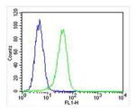 PROX1 Antibody in Flow Cytometry (Flow)