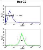 ELOVL2 Antibody in Flow Cytometry (Flow)