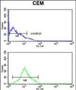 Kir6.2 (KCNJ11) Antibody in Flow Cytometry (Flow)