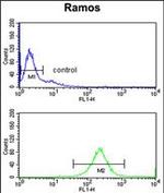 C7 Antibody in Flow Cytometry (Flow)