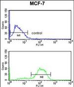 DAGLB Antibody in Flow Cytometry (Flow)