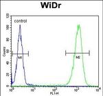 TSPAN33 Antibody in Flow Cytometry (Flow)