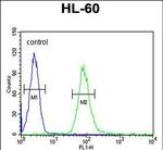 IL2RG Antibody in Flow Cytometry (Flow)